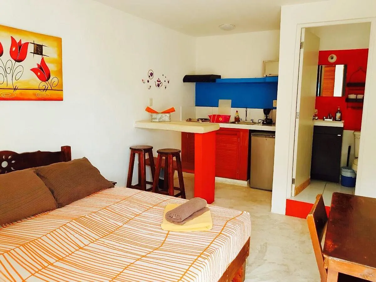 Estudios Calle 28 Playa del Carmen Messico